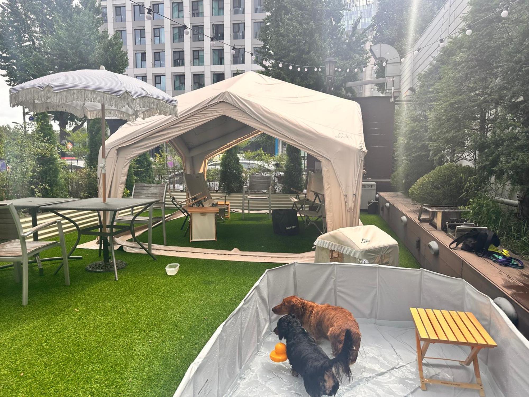 Hotel Acube Dongdaemun Seoul